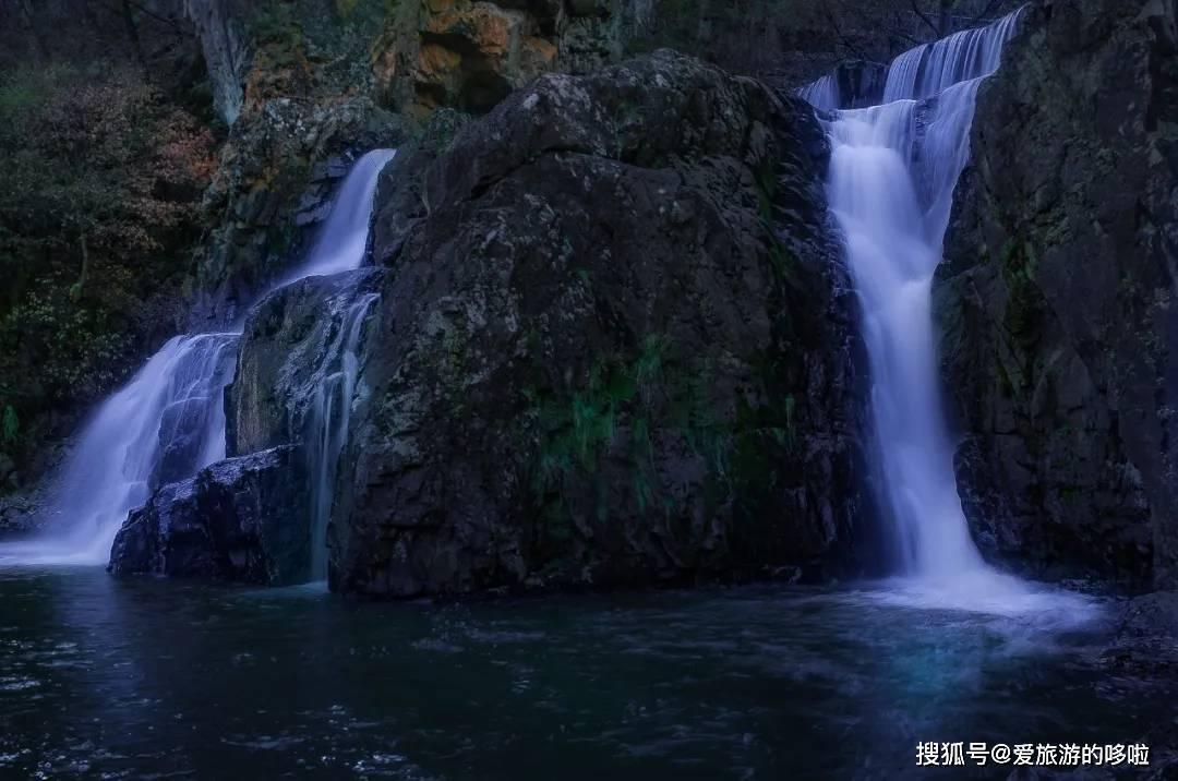 救援蓝鸦